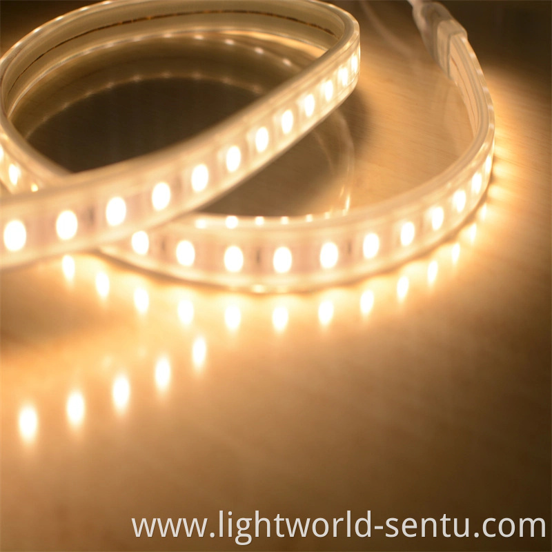Waterproof High Quality SMD5050 LED Flexible Strip CE RoHS Passed